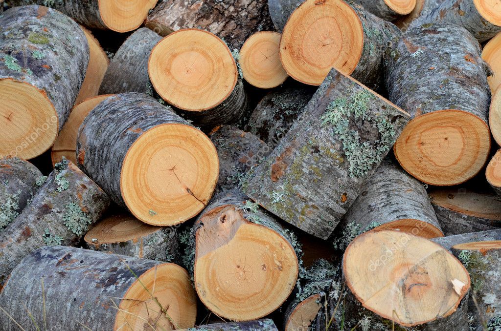 Log meaning. Мягкие дрова. Дровяное долготье. Долготье древесины это. Дрова долготье.
